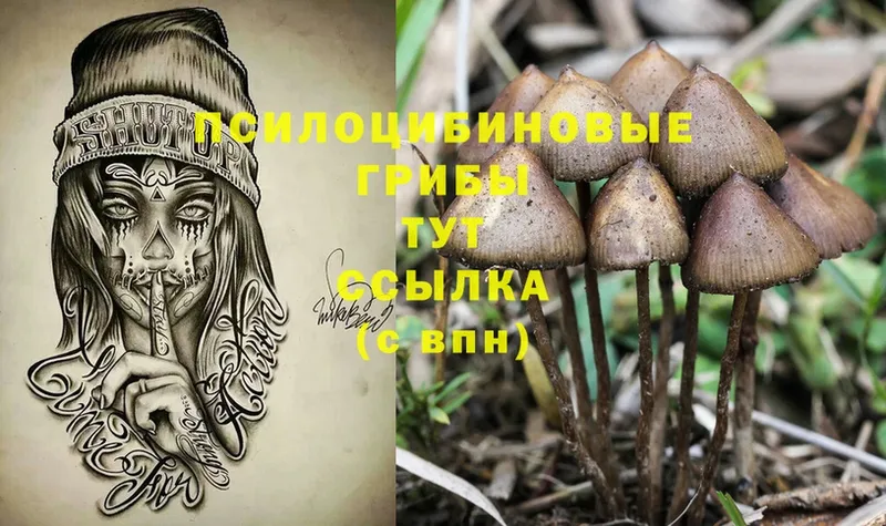 Галлюциногенные грибы Psilocybe  мориарти формула  Орск 